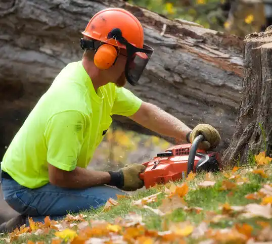 tree services Fort Knox